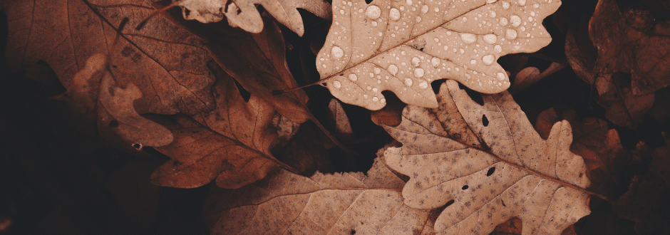 Get Ready for Autumn