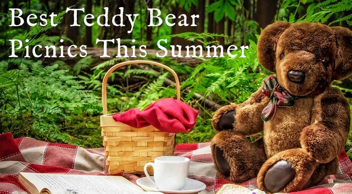 Best Teddy Bear Picnics This Summer