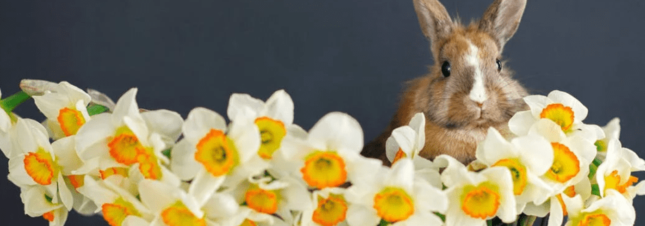 Easter Gifts for Babies