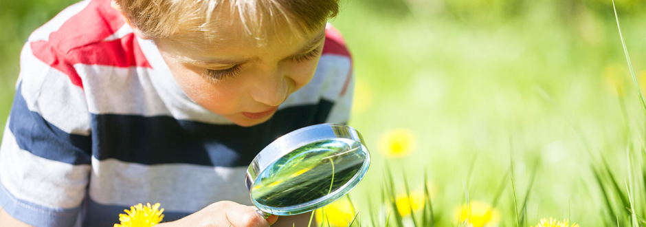 Nature-Based Learning Activities