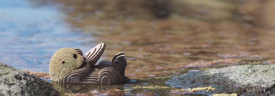 Top 5 EUGY Animals