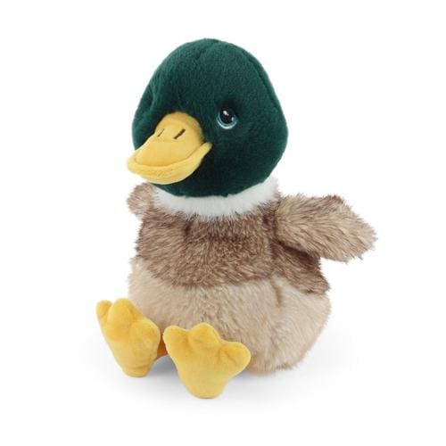 18cm Keeleco Mallard Duck