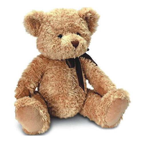 28cm Sherwood Bear