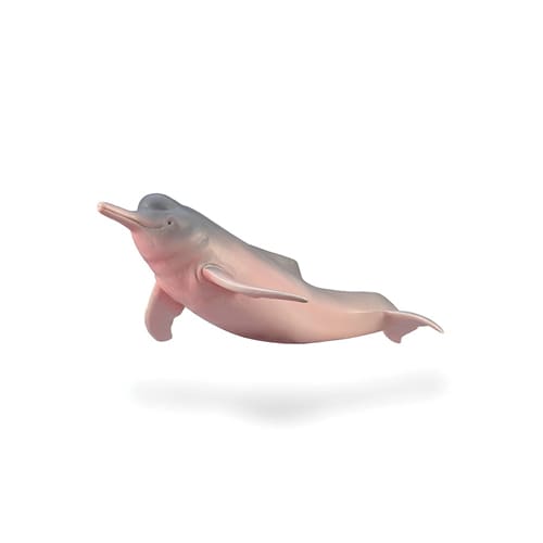 Amazon River Dolphin