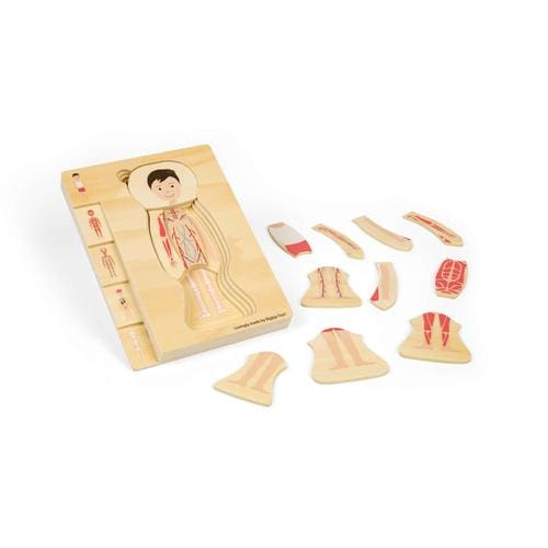 Anatomy Puzzle - Boy