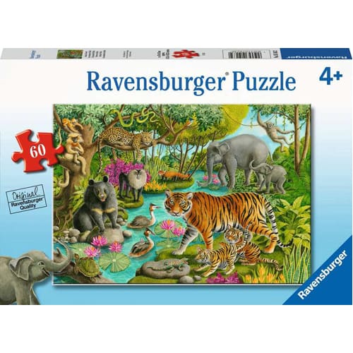 Animals of India, 60pc