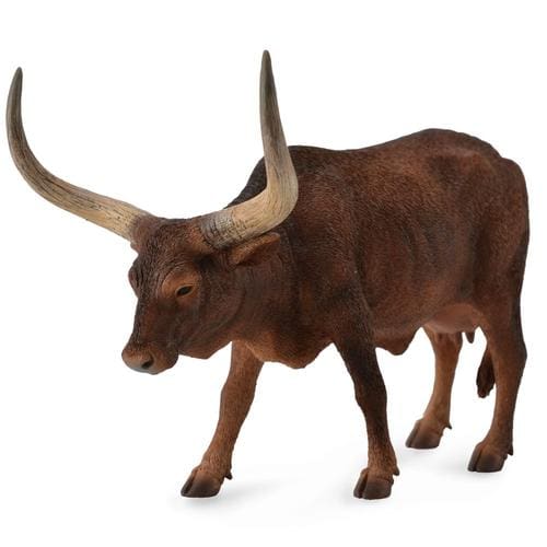 Ankolewatusi Cow