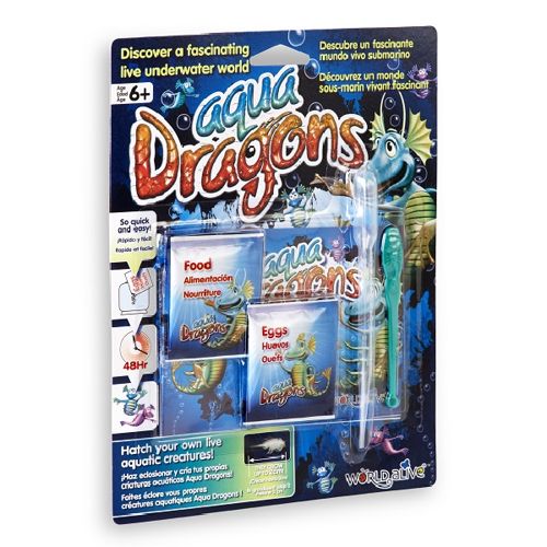 Aqua Dragons