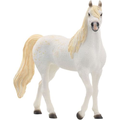 Arab Mare