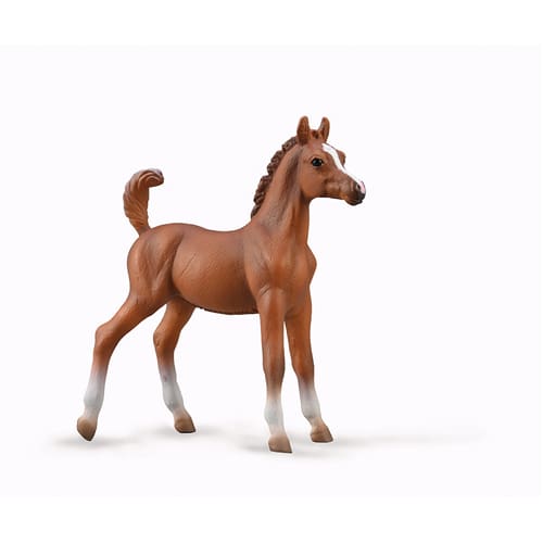 Arabian Foal - Chestnut
