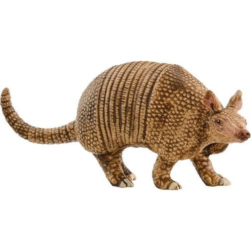 Armadillo
