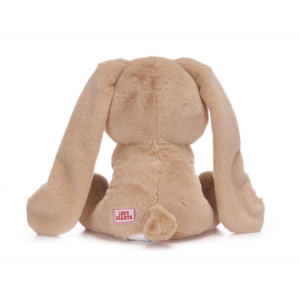 Love Hearts 18cm (7") Welcome Little One Bunny_2