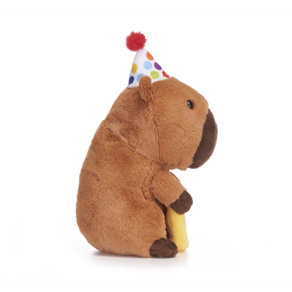 Love Hearts 18cm (7") Cappy Birthday To You_1