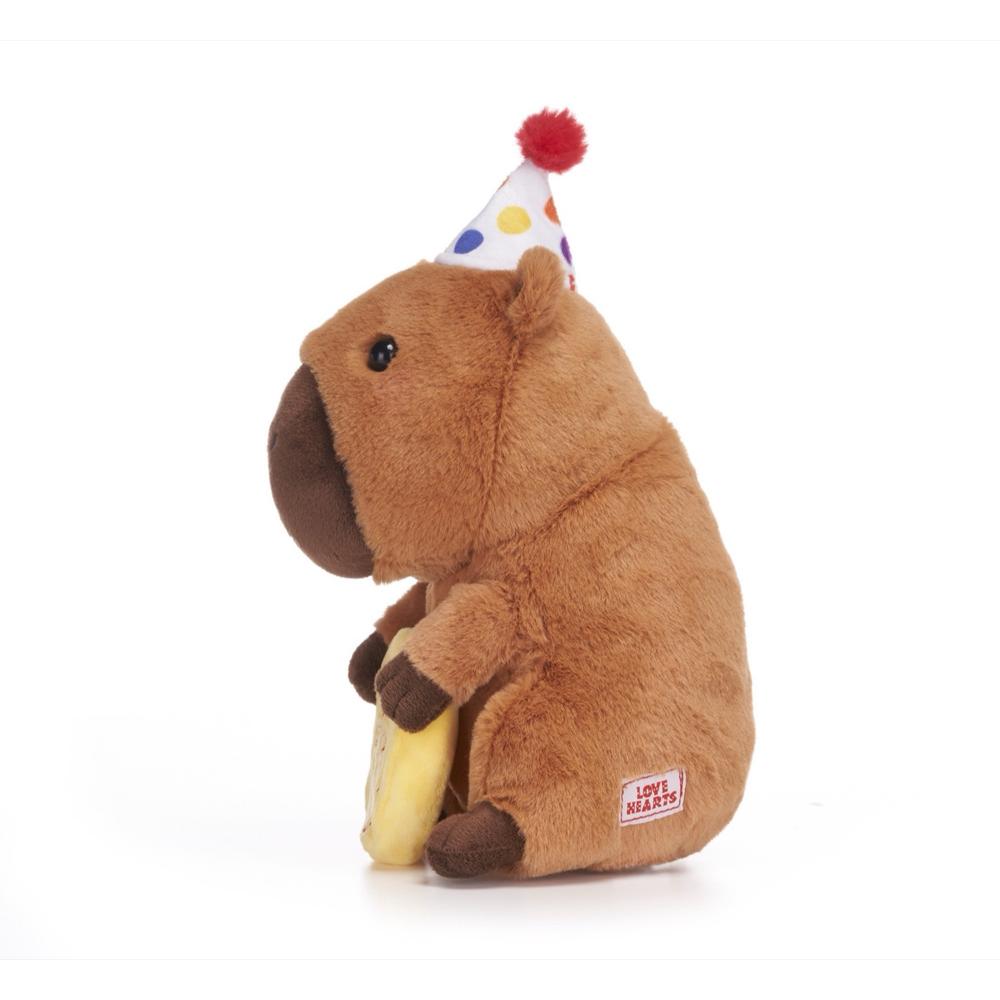 Love Hearts 18cm (7") Cappy Birthday To You_3