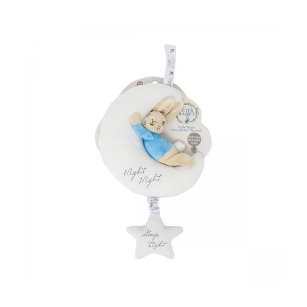 Lying Down Musical Peter Rabbit Soft Toy