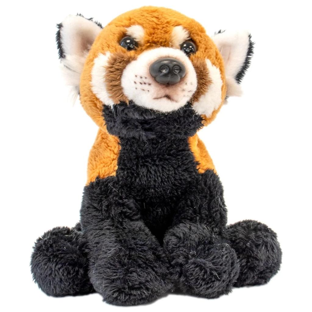 Sitting Red Panda