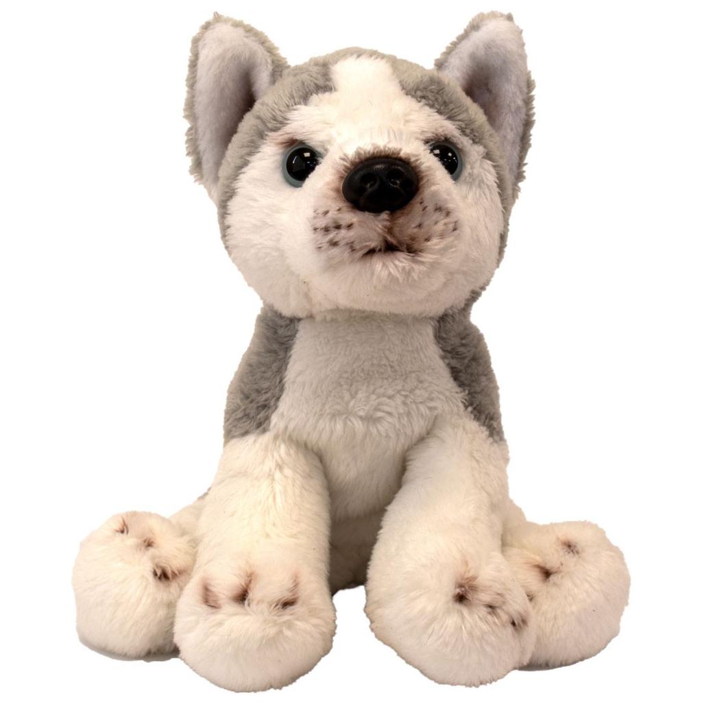 12cm (5”) Husky
