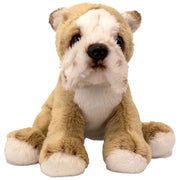 12cm (5”) Bulldog