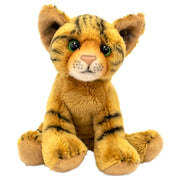 12cm (5”) Wildcat