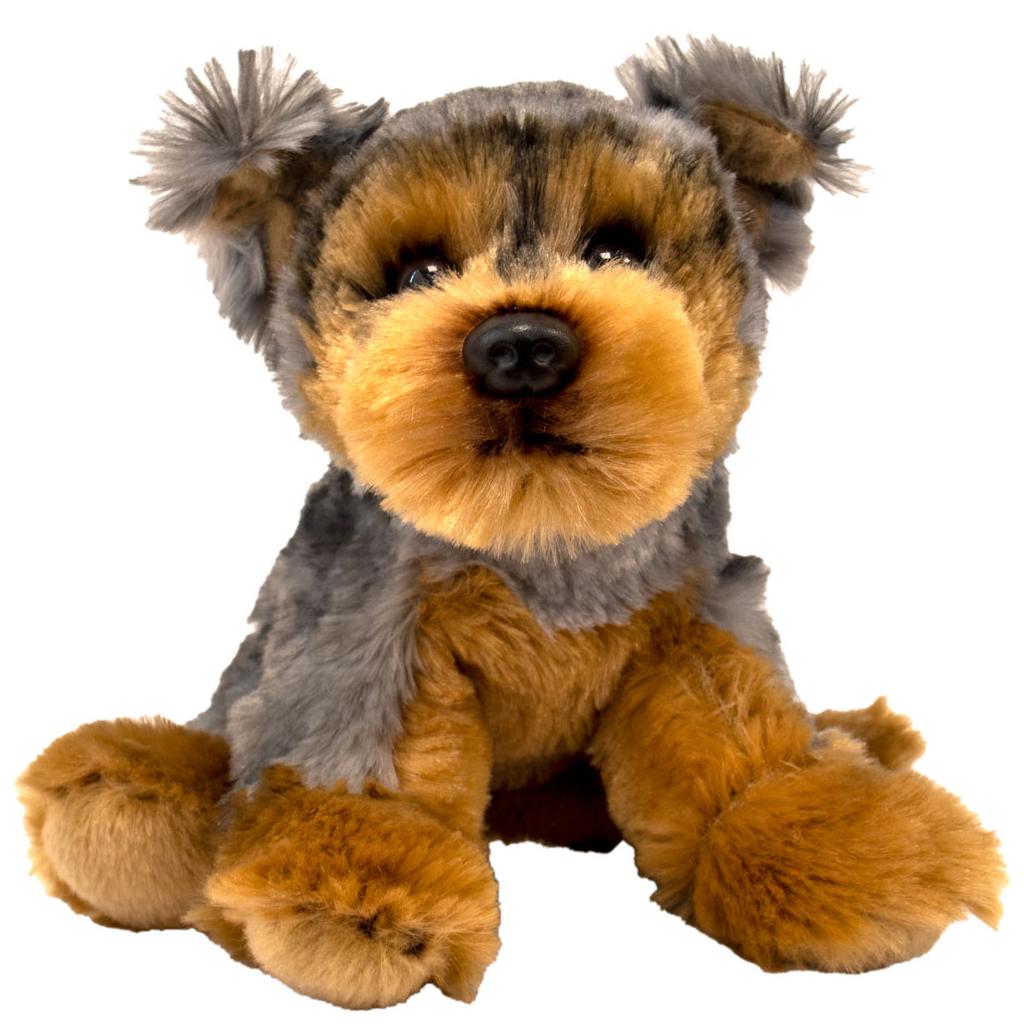 12cm (5”) Yorkipoo