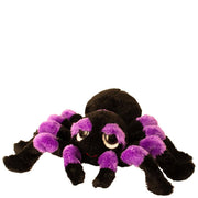 Viola Small Purple Spider