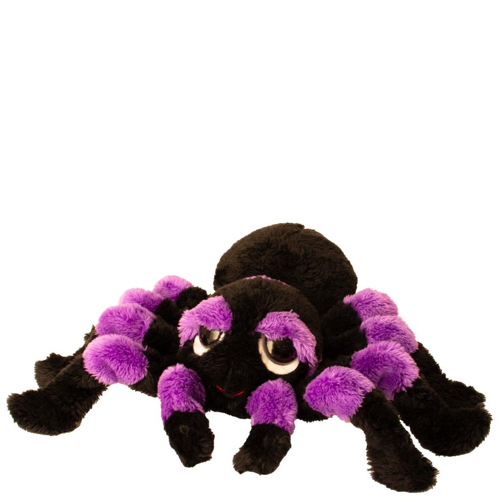 Viola Small Purple Spider