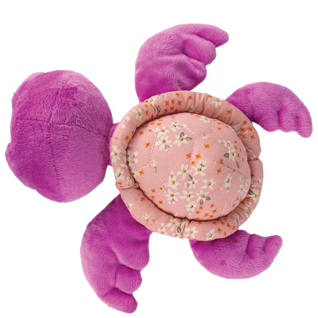 Medium Eden Turtle