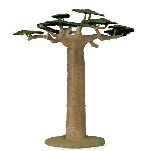 Baobab Tree