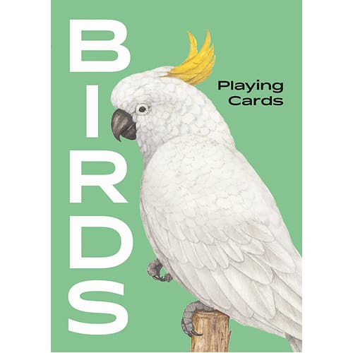 Birds
