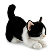 Boraelis Domino Black and White Cat 12"