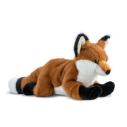 Borealis Flynn Fox 20"