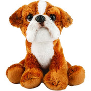 Boxer Small Sitting