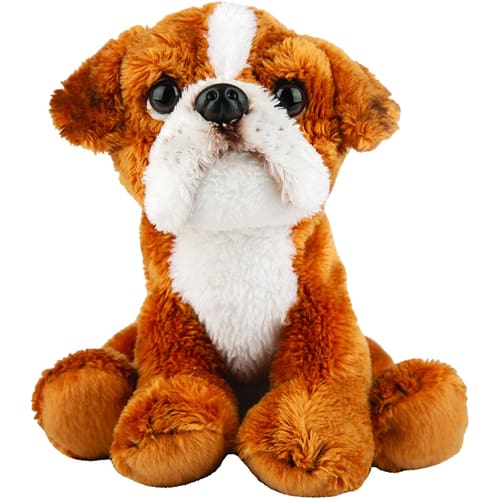Boxer Small Sitting