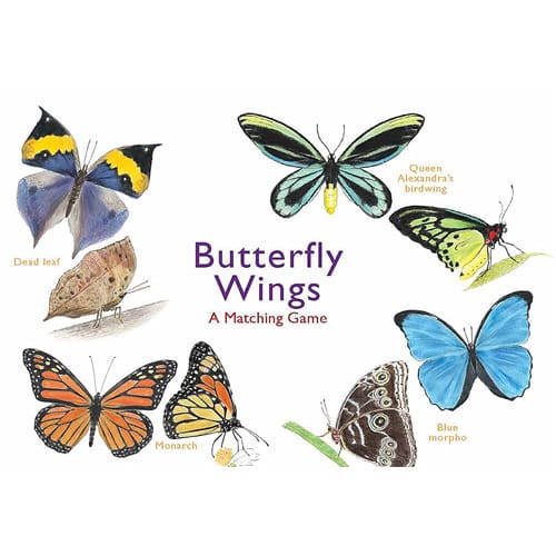 Butterfly Wings