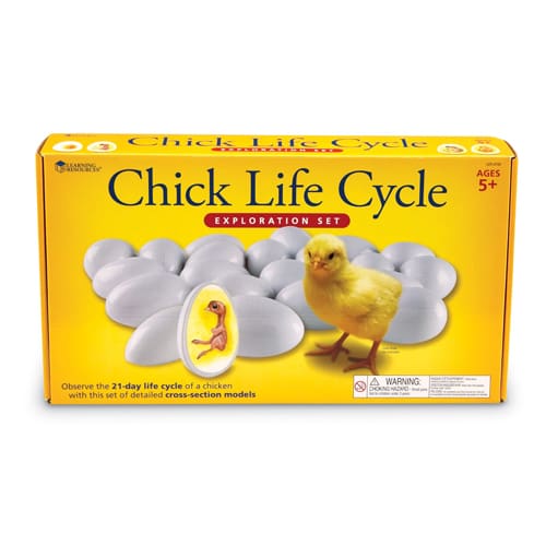 Chick Life Cycle Exploration Set