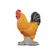 Cockerel