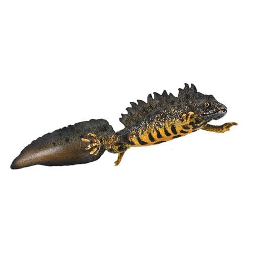 CollectA: Great Crested Newt