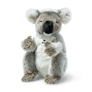 Colo koala, dark grey