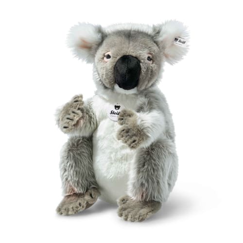 Colo koala, dark grey
