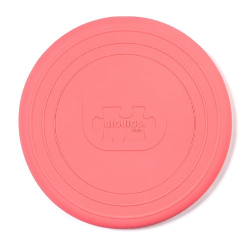 Coral Pink Foldable Flyer