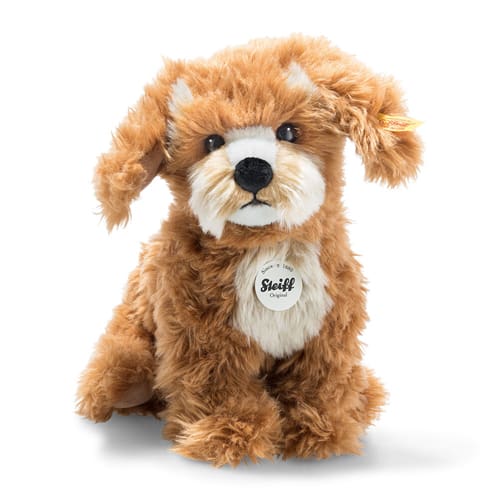 Curlie Cockapoo