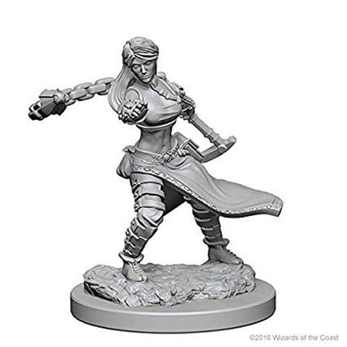 https://www.toystreet.co.uk/wp-content/uploads/2022/08/DD-Nolzurs-Marvelous-Unpainted-Miniatures-W11-Female-Human-Monk.jpg