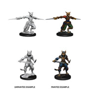 D&D Nolzur's Marvelous Unpainted Miniatures (W9): Female Tabaxi Rogue