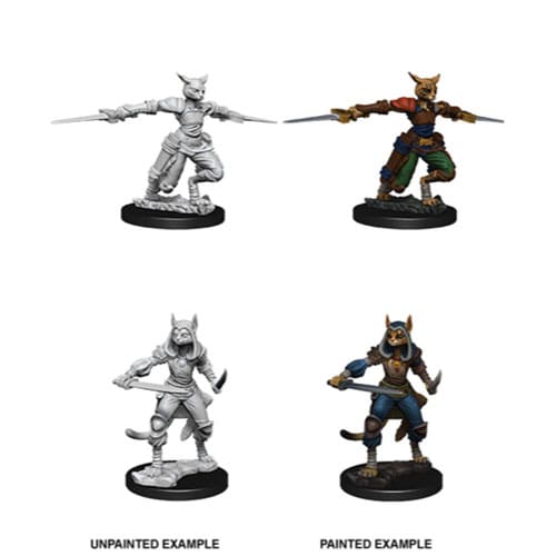 D&D Nolzur's Marvelous Unpainted Miniatures (W9): Female Tabaxi Rogue
