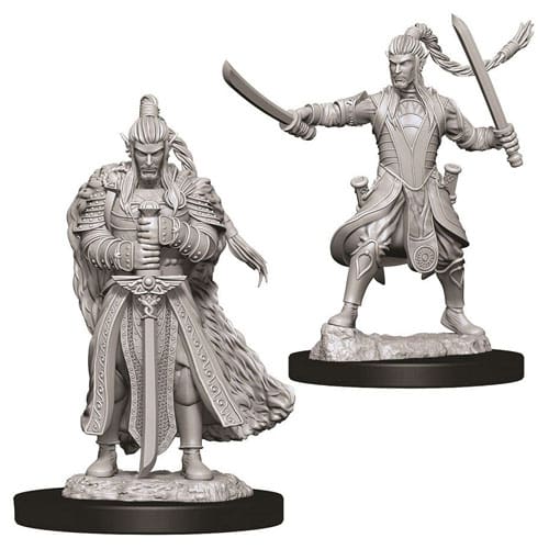 D&D Nolzur's Marvelous Unpainted Miniatures (W9): Male Elf Paladin