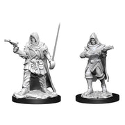 D&D Nolzur's Marvelous Unpainted Miniatures (Wave 13): Human Rogue Male