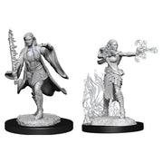 D&D Nolzur's Marvelous Unpainted Miniatures (Wave 13): Multiclass Warlock + Sorcerer Female