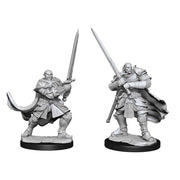 D&D: Nolzur's Marvelous Unpainted Miniatures (Wave 15): Half-Orc Paladin Male