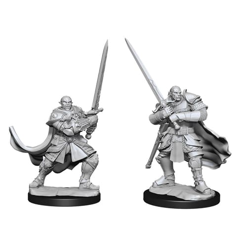 D&D: Nolzur's Marvelous Unpainted Miniatures (Wave 15): Half-Orc Paladin Male