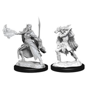 D&D: Nolzur's Marvelous Unpainted Miniatures (Wave 15): Winter Eladrin & Spring Eladrin